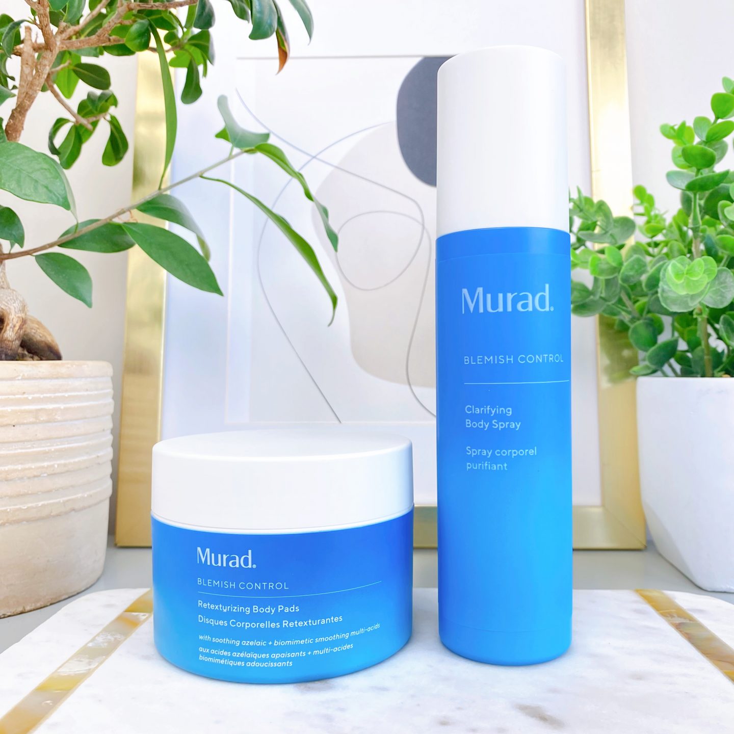 Murad Blemish Control Retexturizing Body Pads Murad Clarifying Body Spray