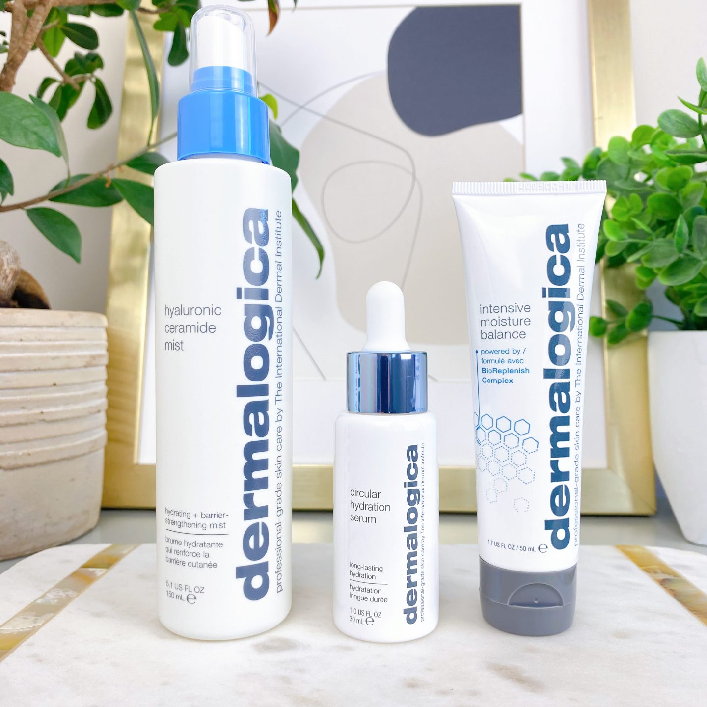Dermalogica Hydration Dermalogica Hyaluronic Acid Ceramide Mist Dermalogica Circular Hydration Serum Dermalogica Intensive Moisture Balance Moisturiser