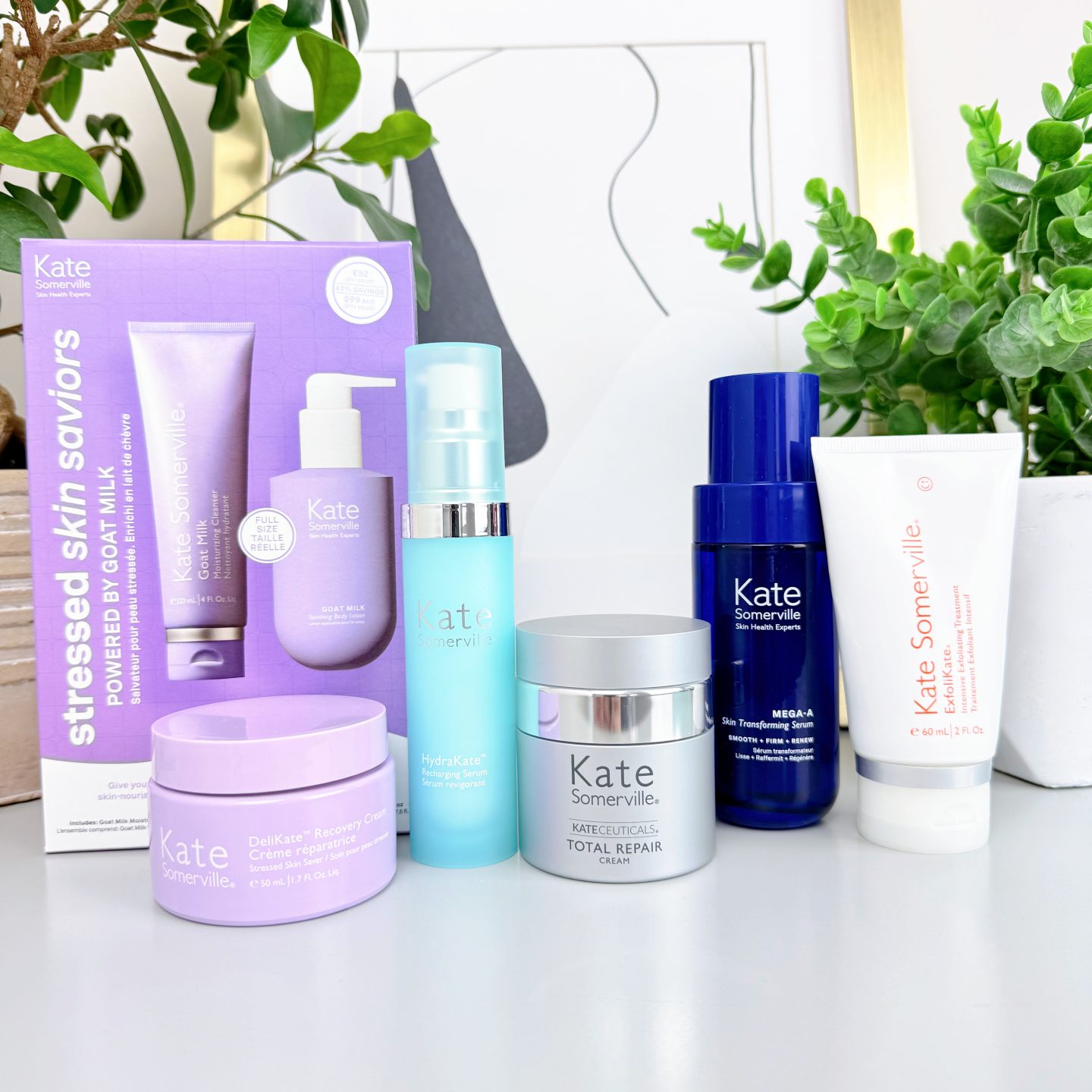 Kate Somerville Friends & Family Sale – What to Buy