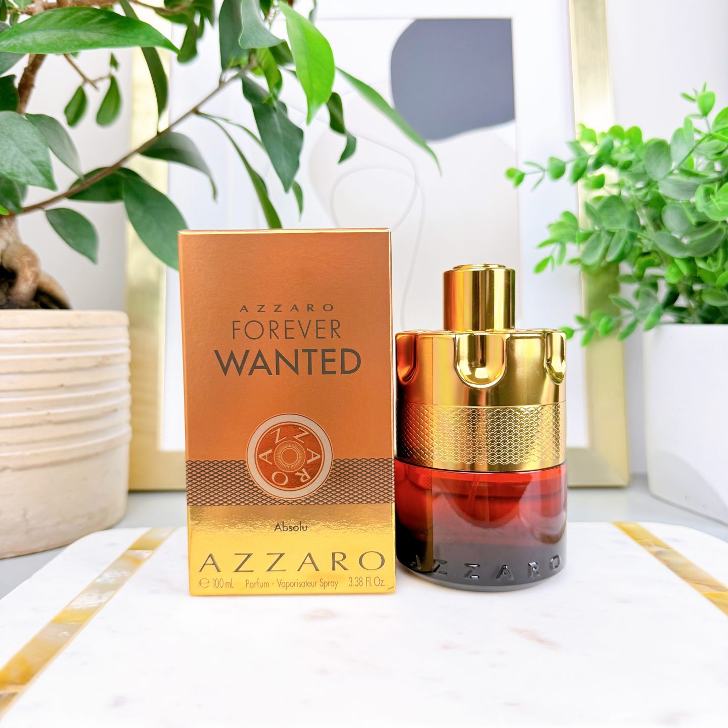 Azzaro Forever Wanted Absolu