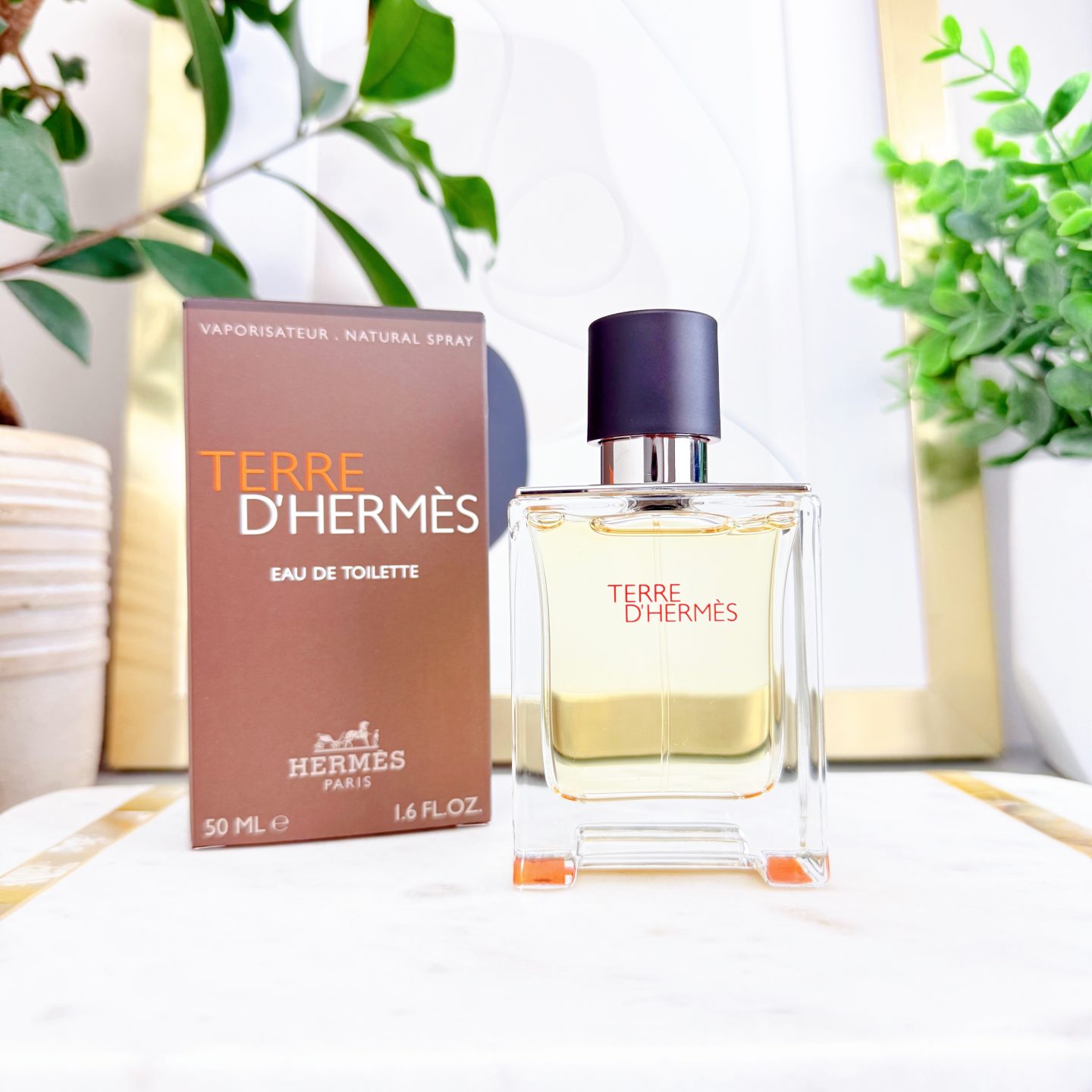 Terre D'Hermes Eau De Toilette