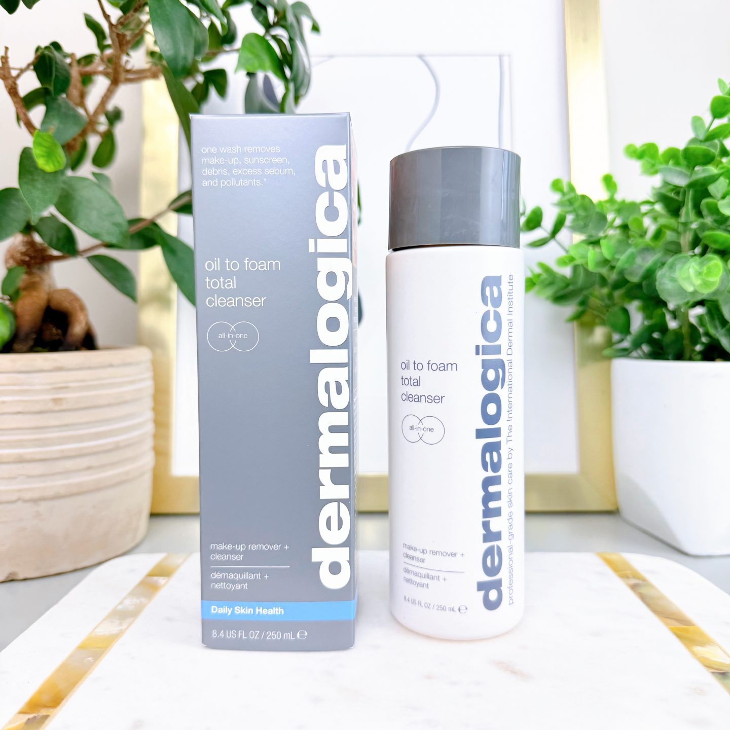 Dermalogica Oil to Foam Cleanser